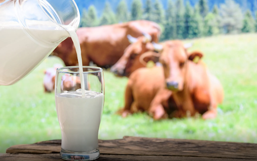 Nourishing the Youngest Generations: The Role of Farm Fresh Milk